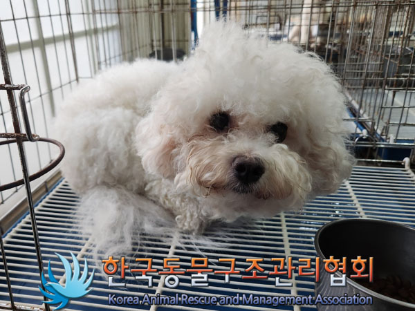 한국동물구조관리협회_411315202300509